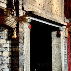 早茶街 User Photo