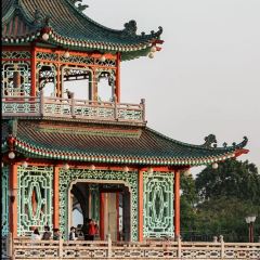 進安街大排檔張用戶圖片
