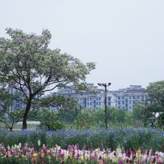 良壤有机庄园 User Photo
