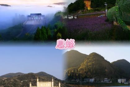 黃南武陽朗辣子雞