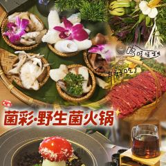 JUN CAI User Photo