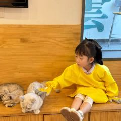 Cat's Home Fish Restaurant・Reservoir Fish Theme Restaurant (Yunshui Huaxi Branch) User Photo