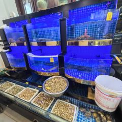 乍浦老国营饭店 User Photo