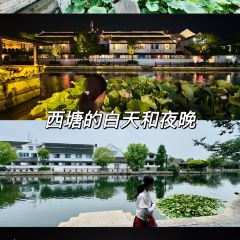 初曦饭店·河景餐厅·蚕娘家菜 User Photo