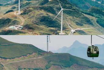 WANG FAMILY GOLD MEDAL DRIED TOFU HOT POT User Photo