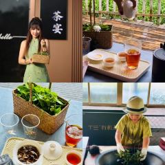 T三峰林茶谷野奢帐篷营地·T三茶宴 User Photo