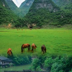 王幺嬢老字号洋芋粑張用戶圖片