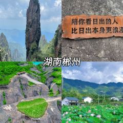 JIN SHANG REASTAURANT User Photo