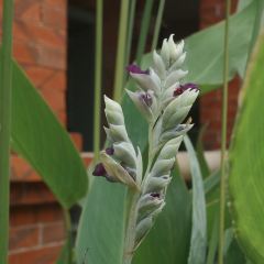 GuLangYu LiJiaZhuang XiuXian Coffee LvGuan User Photo