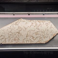 徐师傅太子锅(五中店) User Photo