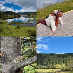 Naxi special casserole User Photo