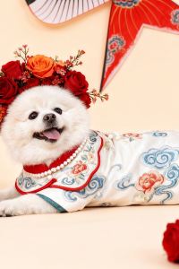 _M1360110**** 北京昆泰飯店優惠