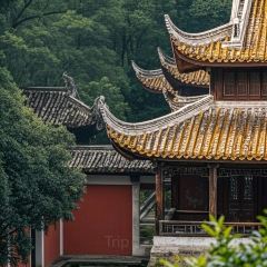 豆夫酥酥臭名远扬臭豆腐(总店) User Photo