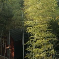 YUNYA COFFEE User Photo