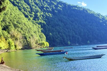 走婚王子蒸汽石锅鱼柴火鸡