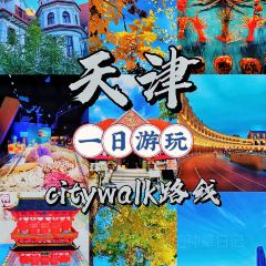 Jinmenzhangjibaozipu (huachangdao) User Photo