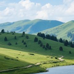 古兰丹姆冰激凌店 User Photo