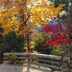 VERTERE Taproom User Photo