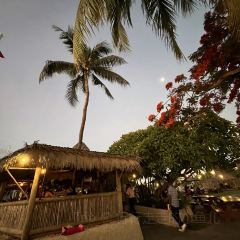 The Boatshed Restaurant ảnh của người dùng