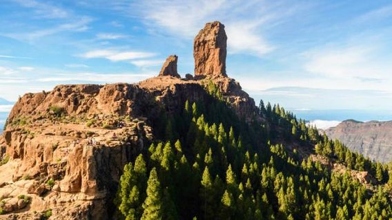 Roque de los Muchachos