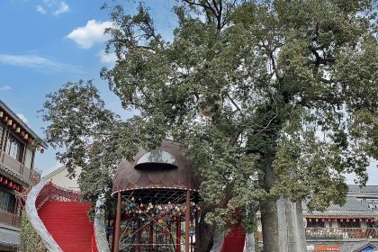 卤校长重庆火锅(邛崃文脉坊店)