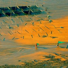 福宁海鲜大排档 User Photo