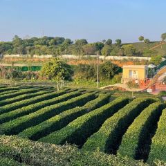 永盛酒樓張用戶圖片