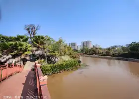 普洱五湖國家濕地公園