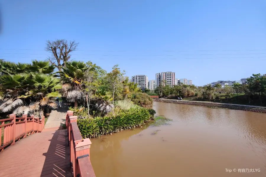 普洱五湖國家濕地公園