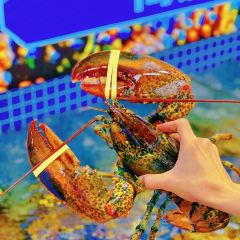 淺水灣海鮮飯店（雙月灣店）張用戶圖片