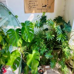 拾光里咖啡馆 User Photo