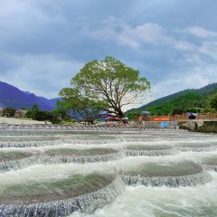 雍景食府張用戶圖片