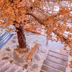 櫻町居壽司料理店張用戶圖片