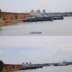 Pier Dad tea 여행 사진