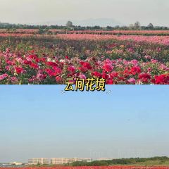 云间花境餐厅 User Photo