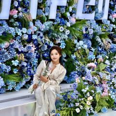 ATELIER IZAKAYA User Photo