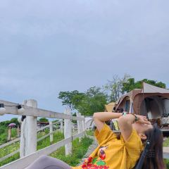 荒野宇宙山顶营地餐厅 User Photo