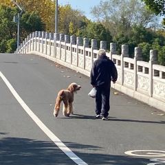 丁师傅205老面馆 User Photo