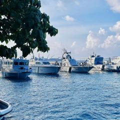 Sala Thai Restaurant User Photo