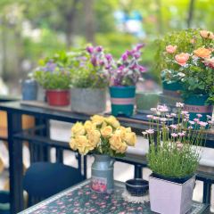 第三铁道咖啡·No.3 Rail Coffee(健康路店) User Photo