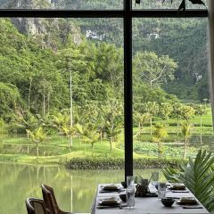 廣西崇左祕境麗世度假村·良食餐廳張用戶圖片