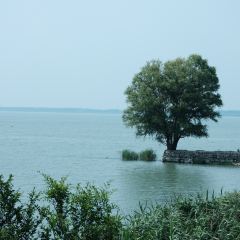 一树茶行 여행 사진