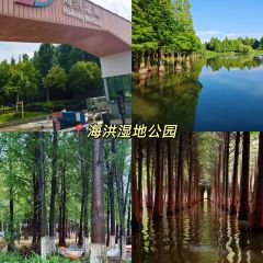 旮旯食堂·現炒雲南菜（南屏街店）張用戶圖片