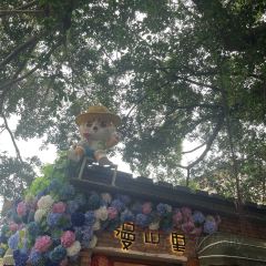 唐沫茶兮(三坊七巷店) User Photo