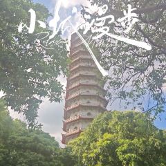 西禅寺荔香楼素菜馆(工业路店) User Photo