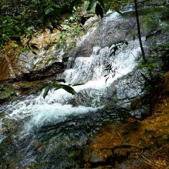 竹香居賓館張用戶圖片