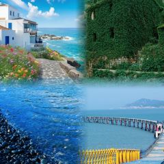 PanDaSao SEAFOOD User Photo