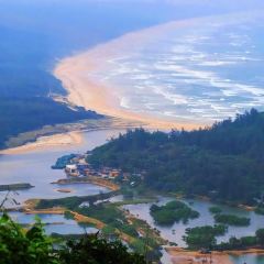 小海豚海鲜广场(清水湾店) User Photo