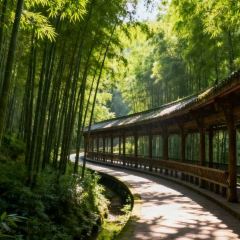 MAO MAO HAN User Photo