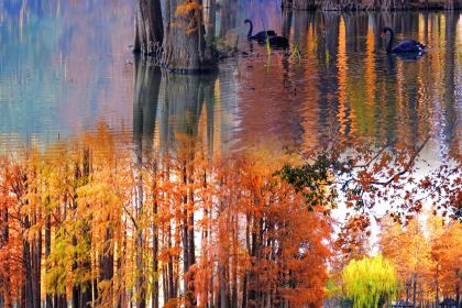 阗福斋(惠山古镇店)